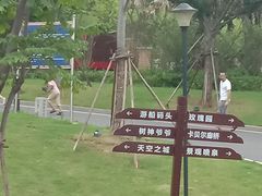 -九龙湖公园