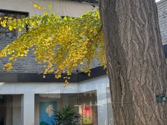 -自如ZSPACE四合院艺术餐厅