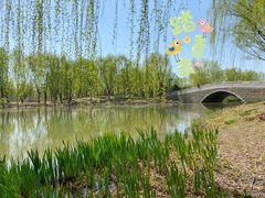 -东郊湿地公园