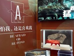 -松江科技馆