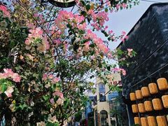 -三溪村