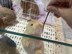 -鹏欣水游城