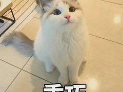 -重庆家富富侨养生会所全省示范店(东五路店)