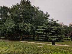 -方庄体育公园