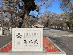 -北陵公园
