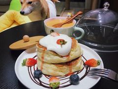 -逗柴咖啡屋·狗咖猫咖宠物桌游