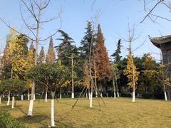 -四川大学(华西校区)