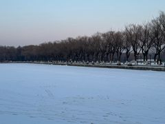 -北陵公园