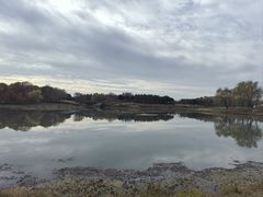 -贡湖湾湿地公园