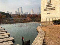 -行者书屋大堂吧 ·下午茶(南京圣和府邸酒店)