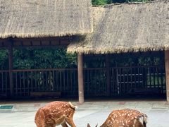 -金沙遗址博物馆