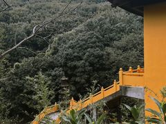 -龙寺生态园