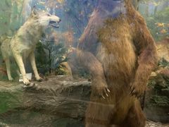 -国家自然博物馆