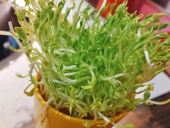 -让签签飞小郡肝串串香(春熙路形象店)