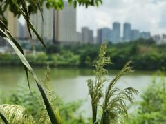 -悦哉·派对·草坪婚礼·围炉煮茶(三圣乡店)