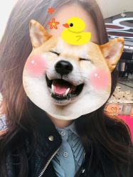 -华卫思理轻奢造型