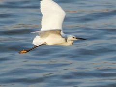 -三利音·浦之舟(滨江大道店)