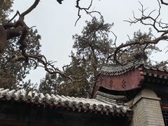 -颐和园