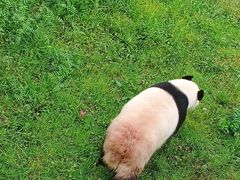 -沈阳森林动物园
