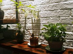 -刀板香·安徽菜(国购IFC店)