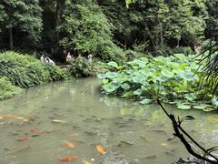 -成都杜甫草堂博物馆