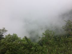 -王顺山国家森林公园