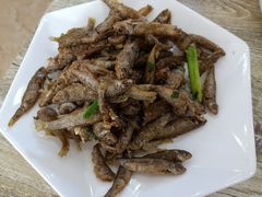 -品雅轩农家乐