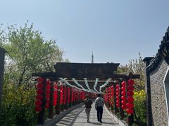 -南汇桃花村
