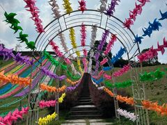 -衢州飞鸿滑草场