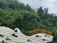 -西双版纳原始森林公园