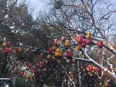 -天目湖山水园