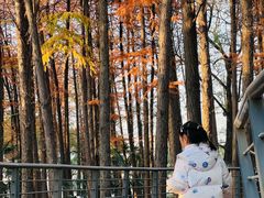 -月湖风景区
