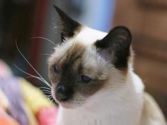 -宠颐生中康贝怡动物医院