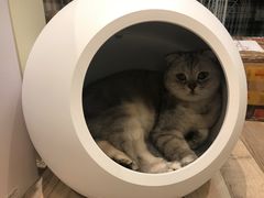 -PETKIT小佩宠物(古北店)