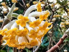 -徐家汇源景区-衡山公园