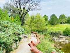 -北京西山国家森林公园