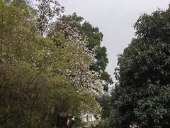 -团城山公园