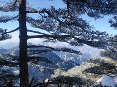 -黄山风景区
