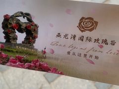 -亚龙湾国际玫瑰谷