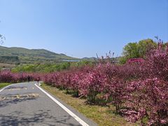 -大连铭湖国际观光牧场