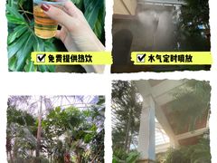 -国信南山温泉