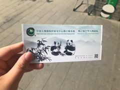 -都江堰中华大熊猫苑