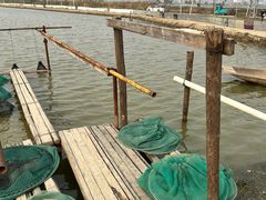 -高淳味道(丹阳湖北路店)