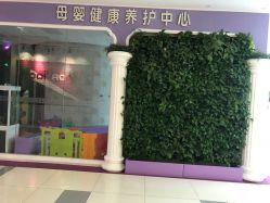 -莘苗家小儿推拿(印象城店)
