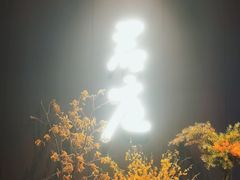 -君庭中餐厅(湘江豪生店)