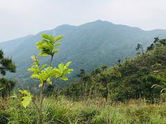 -军营村