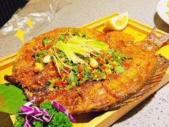 -觅山云南菜(泊富ICITY店)