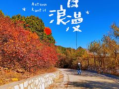 -北京西山国家森林公园