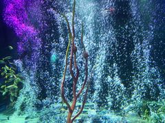 -沈阳海洋探索中心