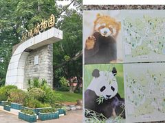 -柳州市动物园